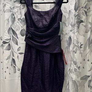 NWT Elegant Purple Dress, Size 4